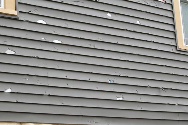 Affordable Siding Repair and Maintenance Services in Yorba Linda, CA